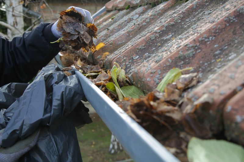 Gutter Leaves Removal