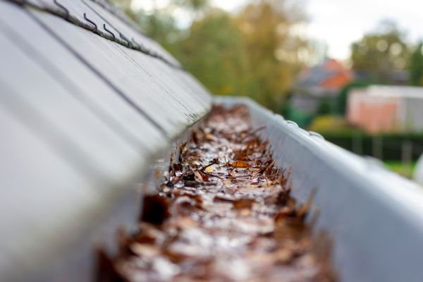 Commercial Gutter Cleaning in Evansville