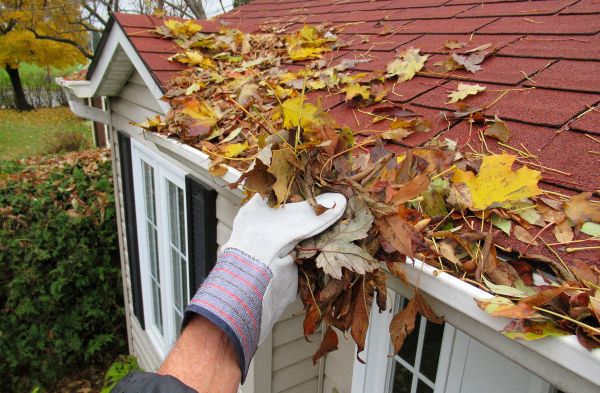Rain Gutter Cleaning Service in Evansville