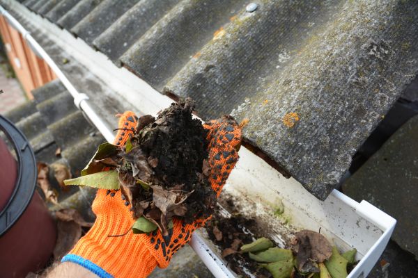 Seamless Gutter Cleaning in Evansville