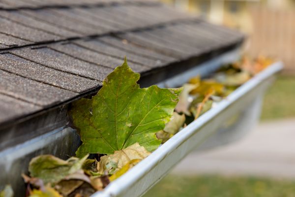 Gutter System Cleaning in Evansville