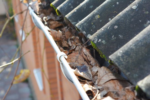 Home Gutter Cleaning in Evansville