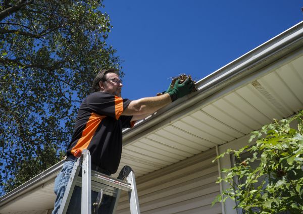 Eavestrough Clearing in Evansville