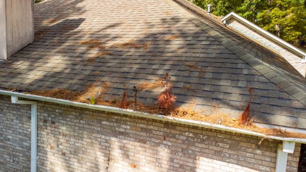 Gutter Pine Needle Removal in Evansville